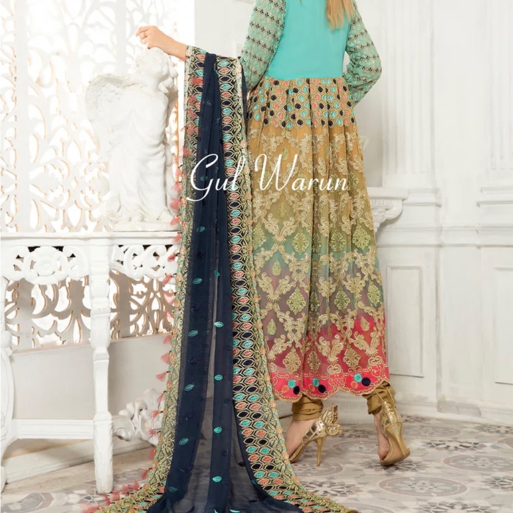 Multicolor Embroidered Maxi Dress with Navy Dupatta - - Picture 2 of 6